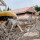 Demolition Contractors LTD