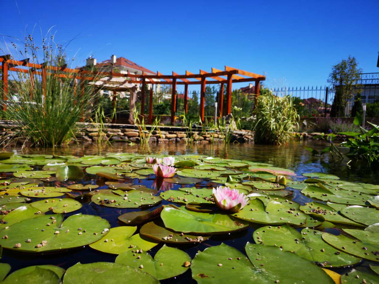 Участок в КП Гринвич