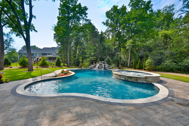 Naperville Il Freeform Swimming Pool With Raised Hot Tub Traditional