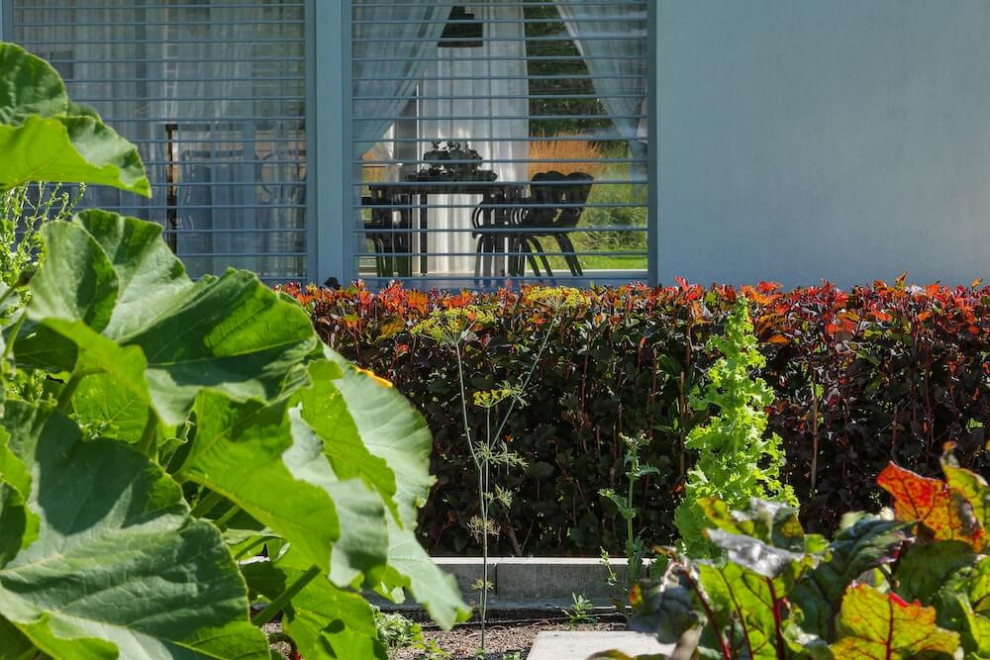 Частный сад "Современный минимализм"