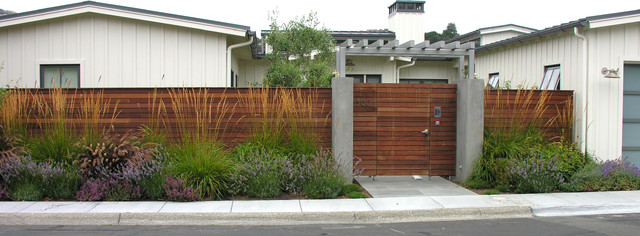 Walnut Creek Modern Front Entryway - Moderno - Jardín - San Francisco