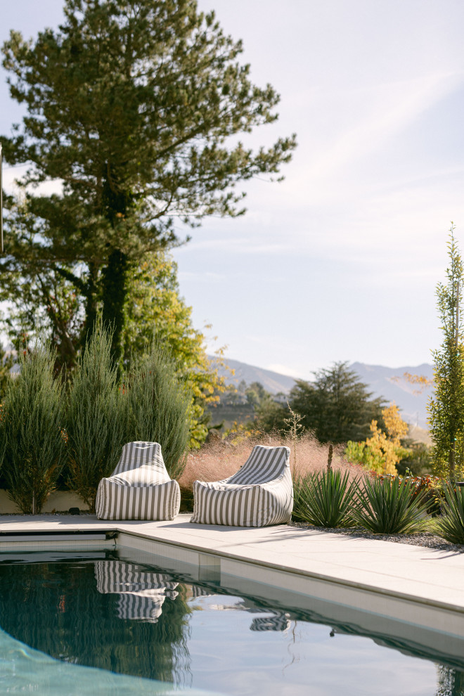 Ejemplo de piscina contemporánea rectangular en patio trasero con paisajismo de piscina y adoquines de hormigón