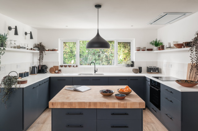 Pomona midcentury-kitchen