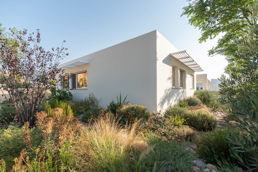 Cette image montre un jardin minimaliste de taille moyenne.