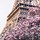 littleitaly11960's profile image