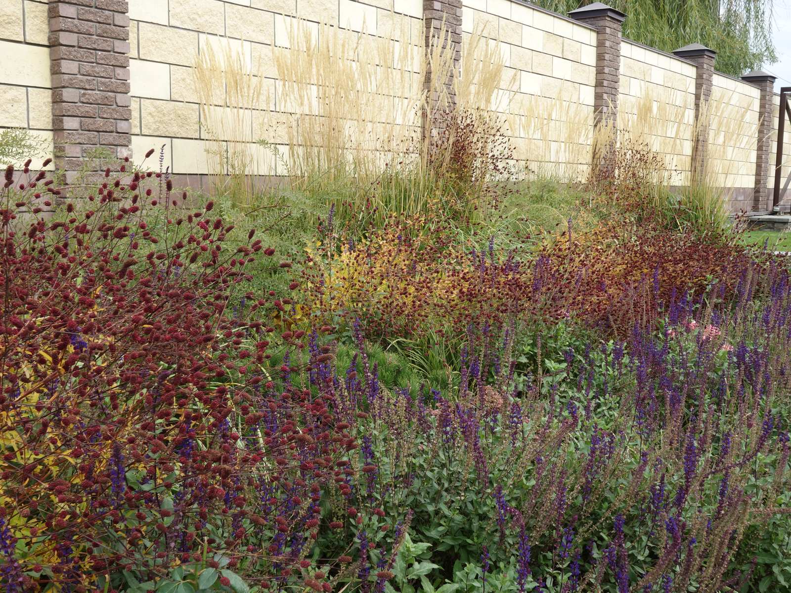 Сад с розами