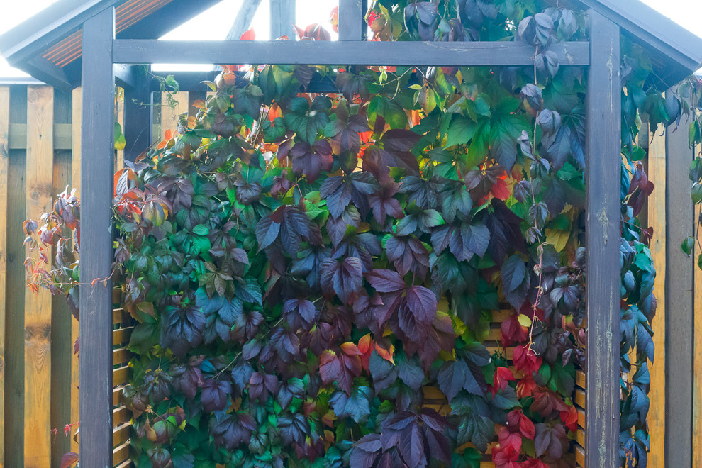 Минимализм в саду