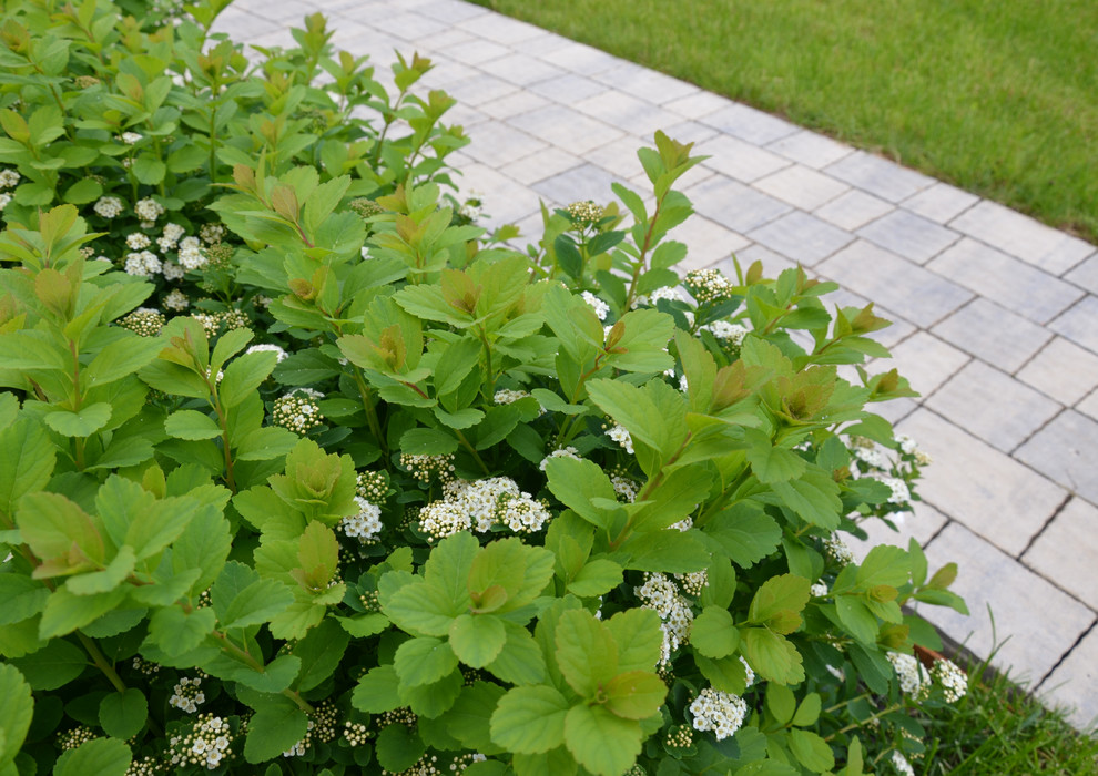 Вспоминая Нормандию КП Визендорф