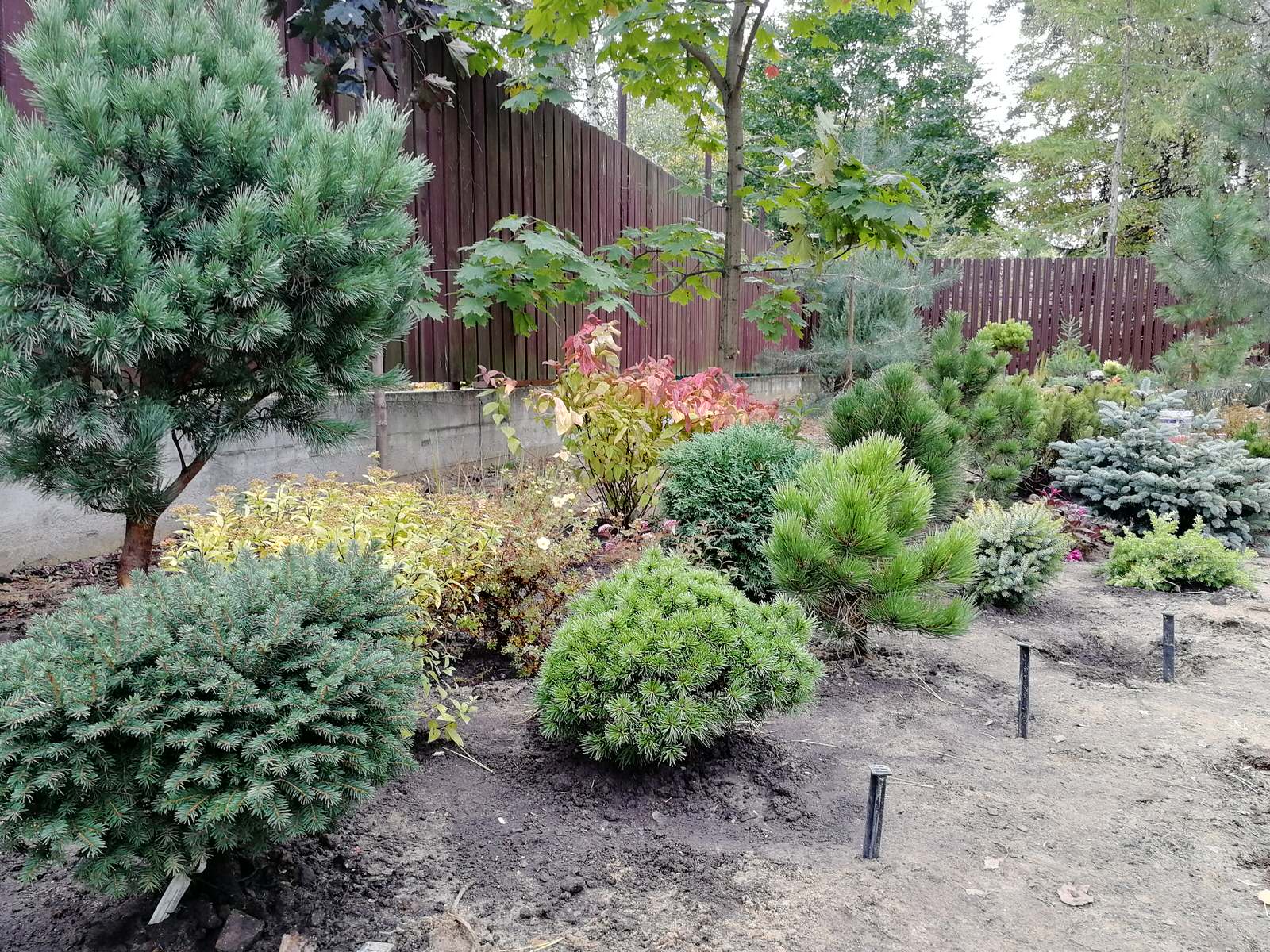 Реализация проект " Вечная любовь"