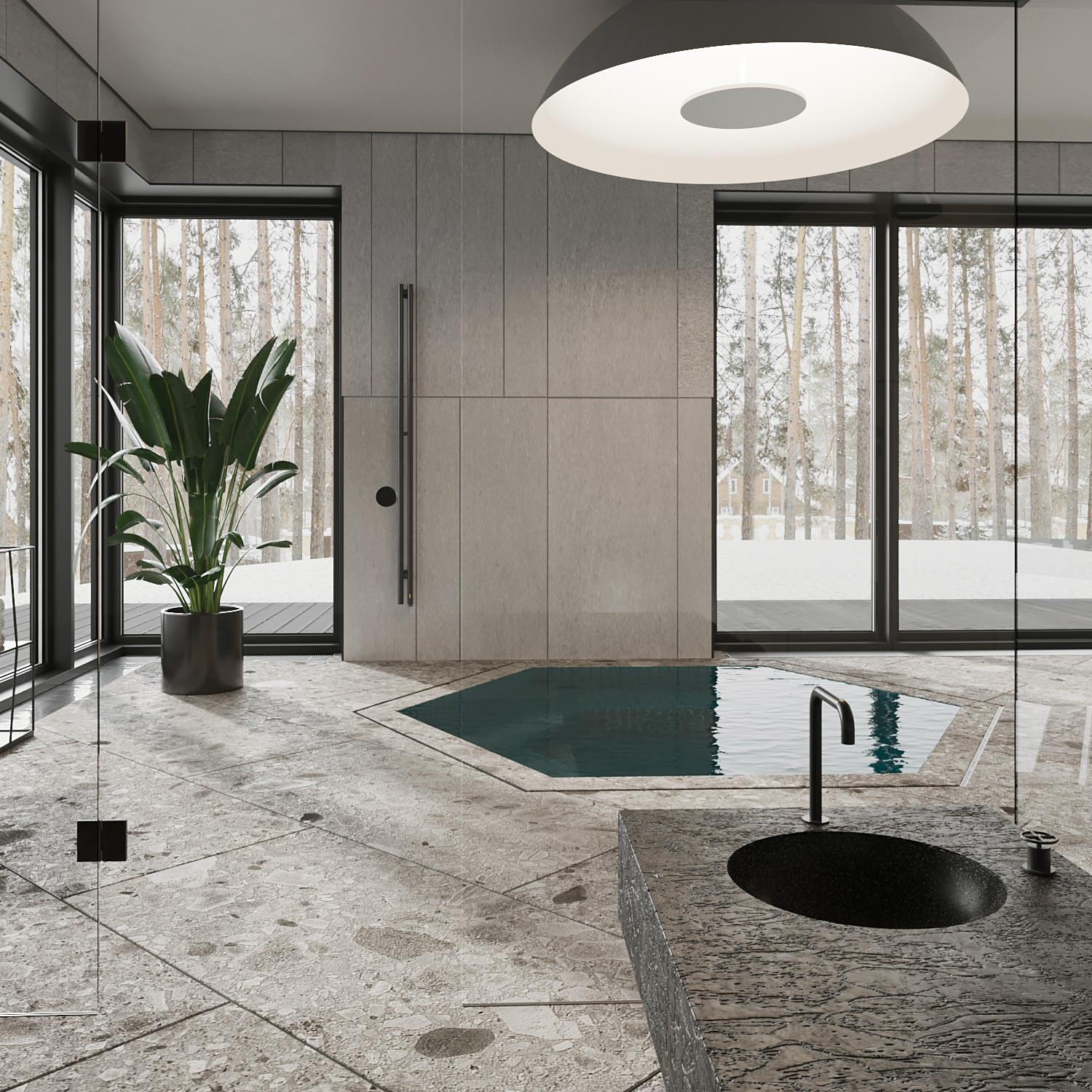 СЕРЕБРЯНЫЙ ЛЕС