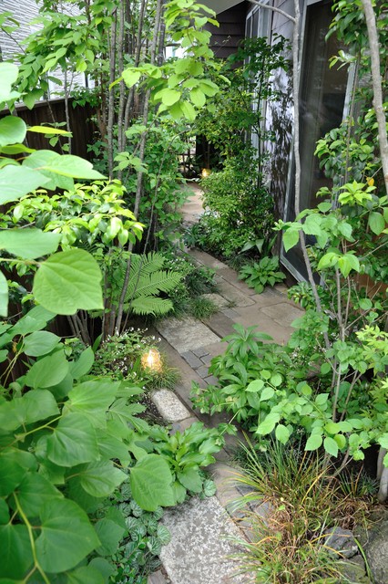 庭　 FUJIKURAZOUEN japones-jardin