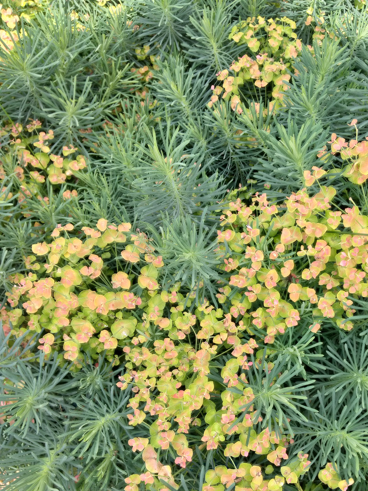 Вдохновители