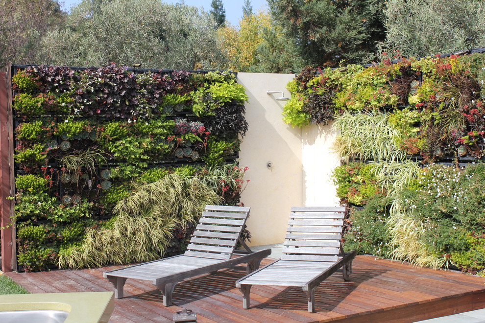 Inspiration for a contemporary patio in San Francisco with an outdoor shower.