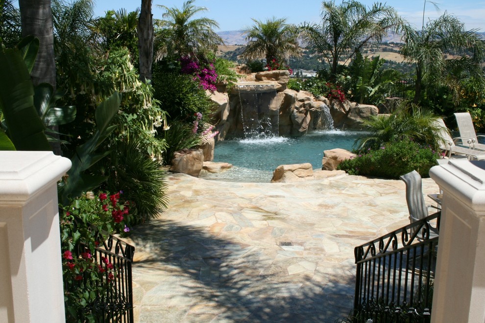 Design ideas for a tropical pool in Boise.