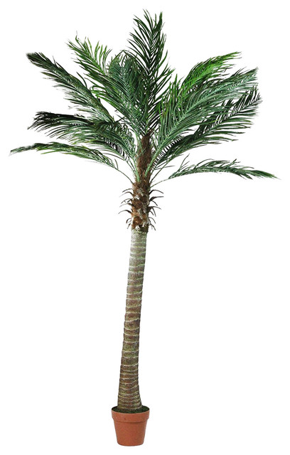 6' Decorative Potted Artificial Brown and Green Phoenix Palm Tree