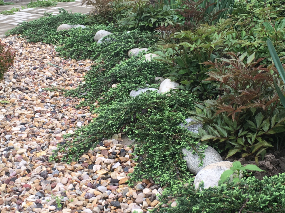 Проект "Сад  для Мамы"