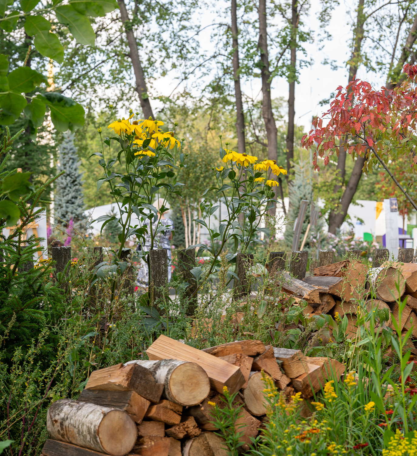 Фотосъемка  "САДЫ и  ЛЮДИ2019"   -  Сад Наследие . ГРАН-ПРИ