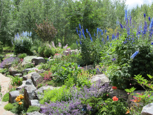 Outdoor Oasis Landscape Design