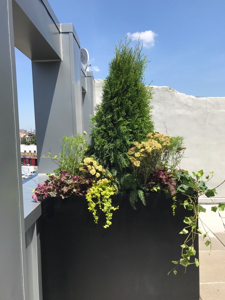 583 Franklin - Citi Habitats