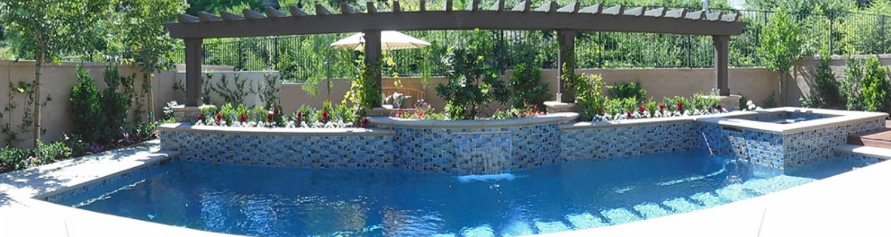 Pool - transitional pool idea in Orange County