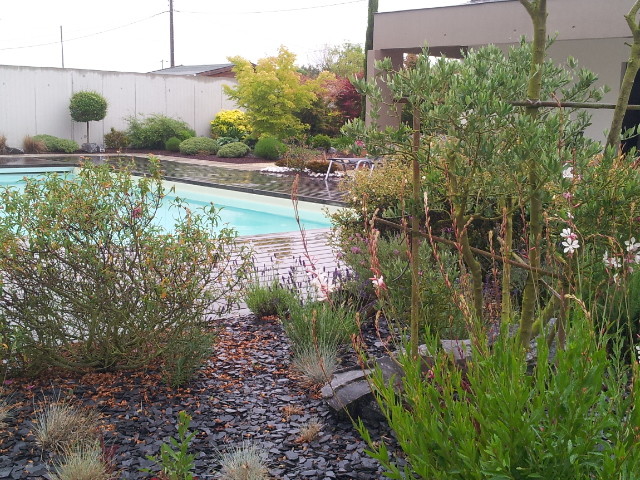 Abords de piscines. contemporary-pools-and-hot-tubs