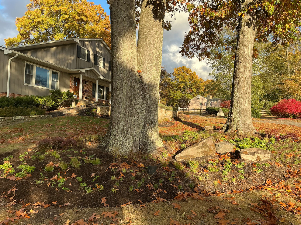 Impactful, serene and native entrance.