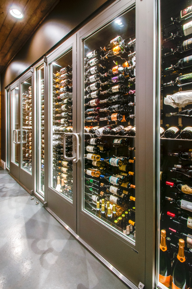 Basement contemporary wine cellar & tasting room