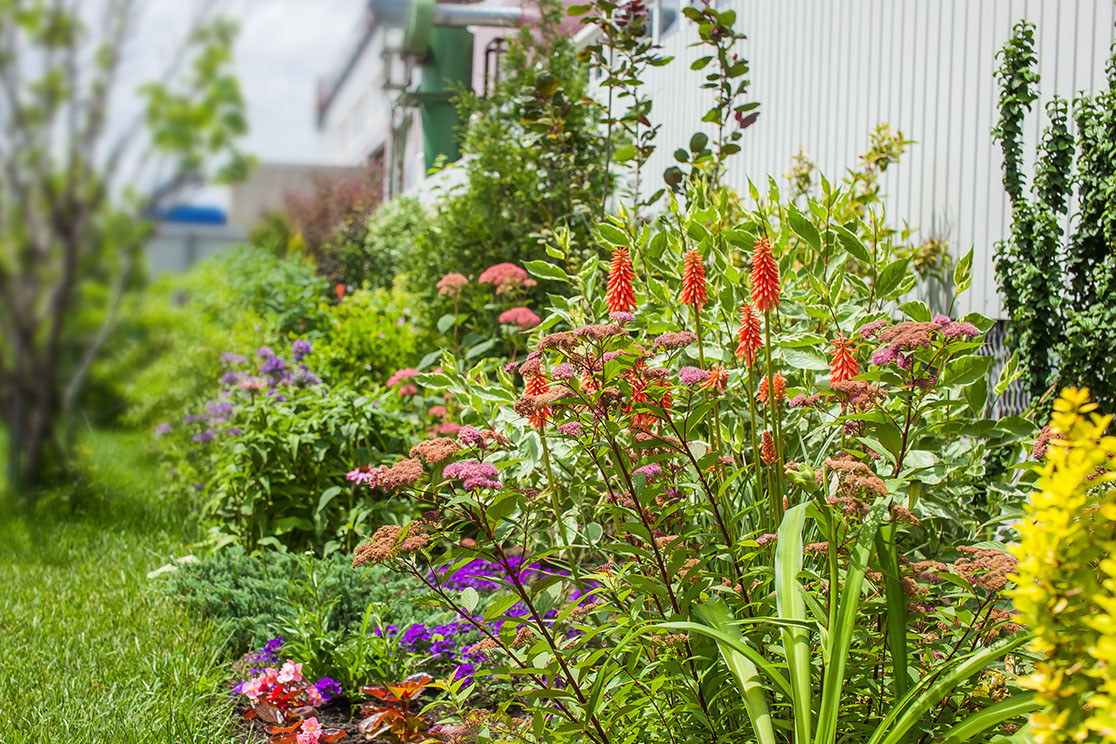 ландшафтный дизайн 2