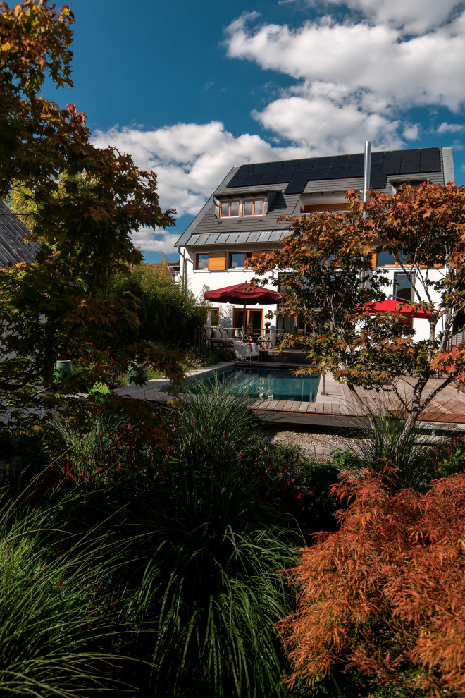 Umgestaltung eines Hausgarten mit Naturpool 10,00 x 3,70 m in Alsbach