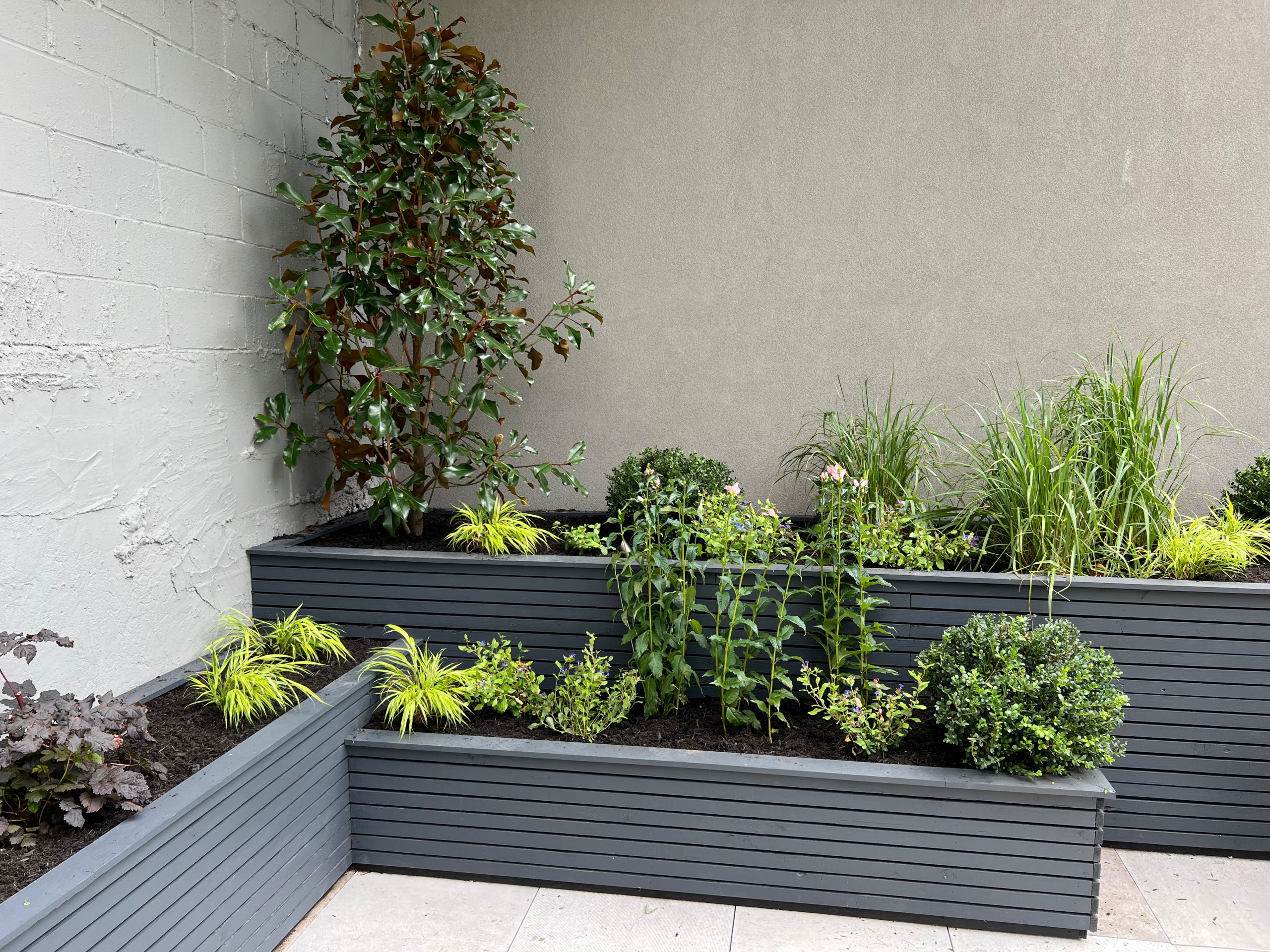 Garage Rooftop Container Garden