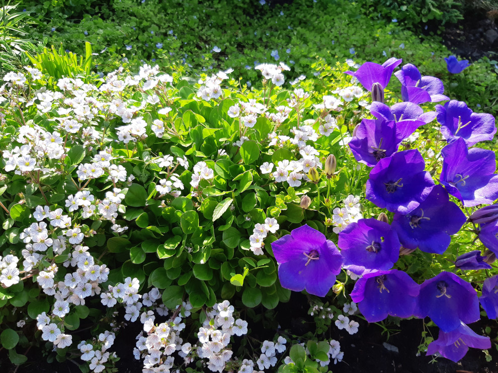 цветники, огород  " Теплые грядки"