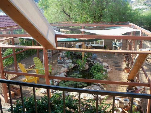 Kitty Enclosure eclectic-landscape