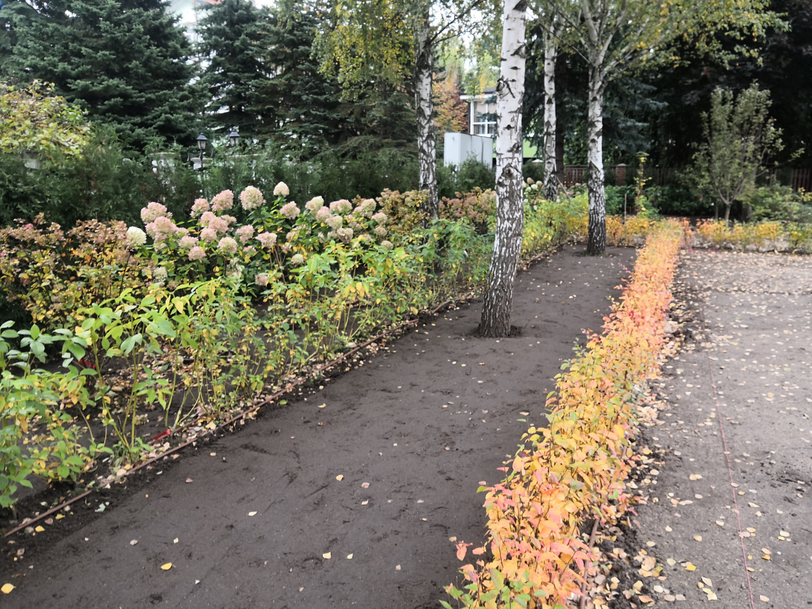 Landscape design of the territory (Moscow region)