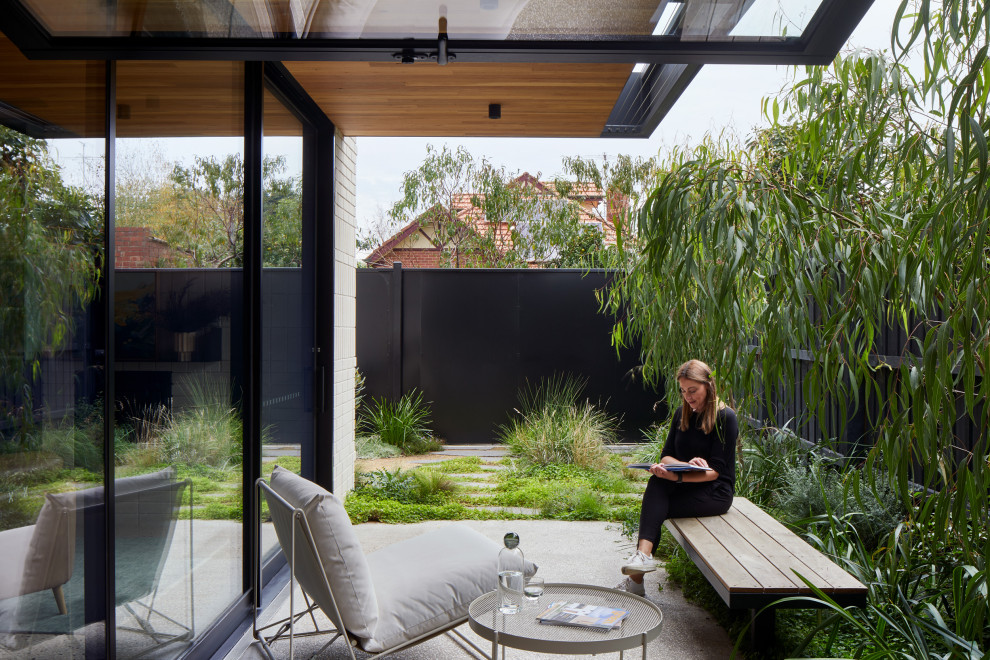Kleiner, Halbschattiger Moderner Garten im Innenhof im Frühling mit Sichtschutz, Betonboden und Metallzaun in Melbourne