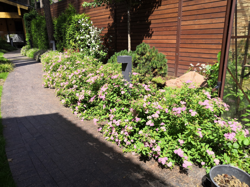 12 сот в лесу