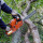 Atoka Tree Service