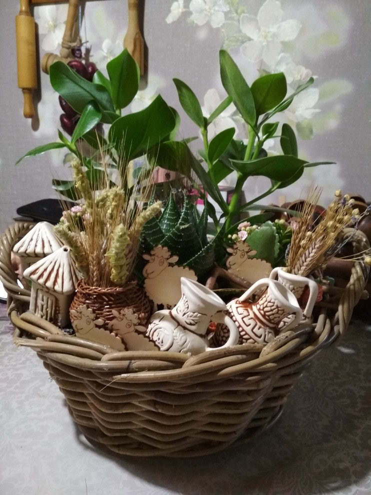 фитодизайн