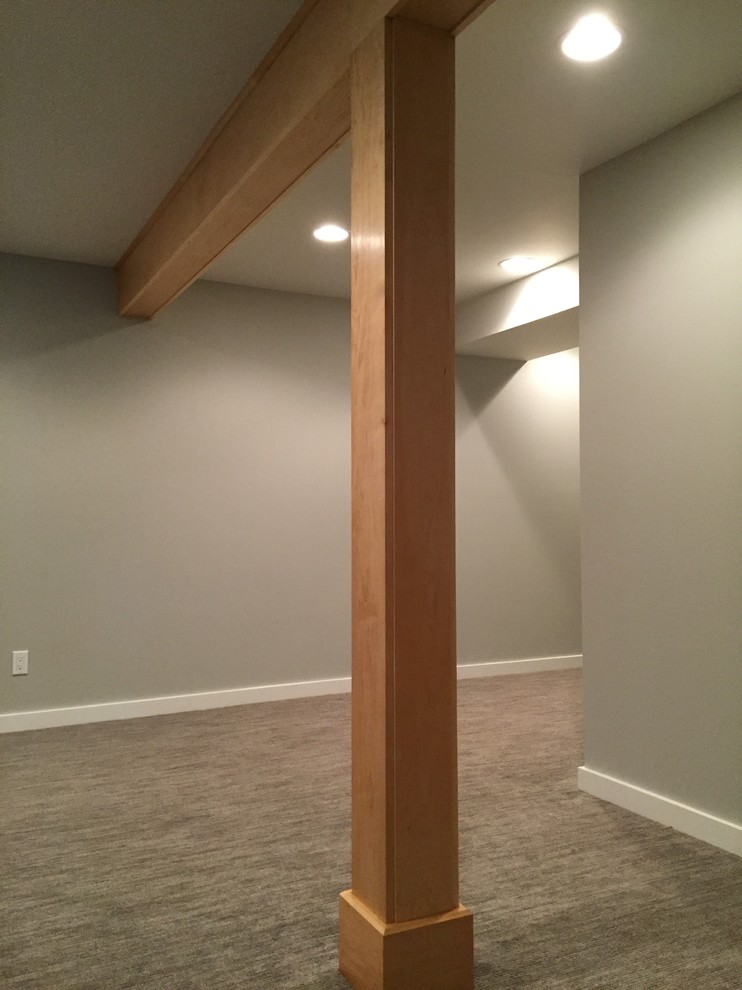 Basement - mid-sized transitional look-out carpeted basement idea in Seattle