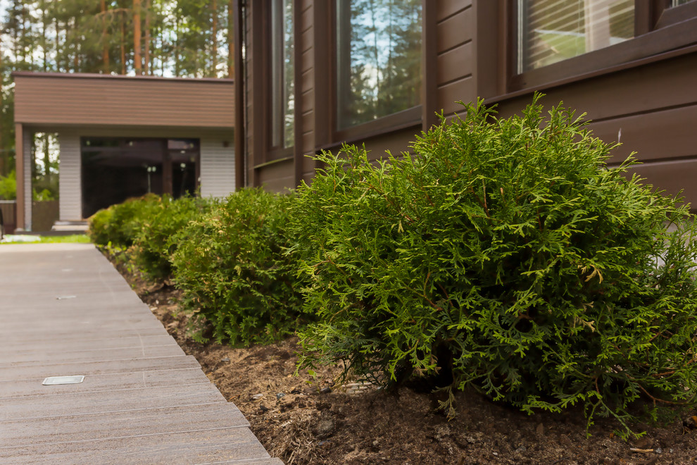 Ландшафт участка загородного дома в Сосновом бору