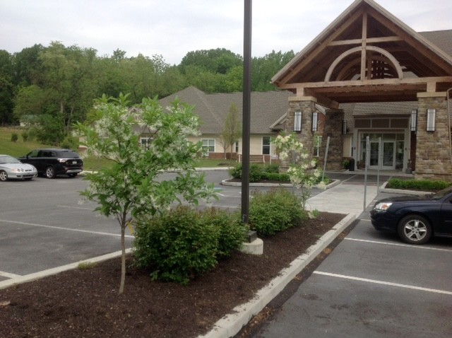 Small Landscaping Projects