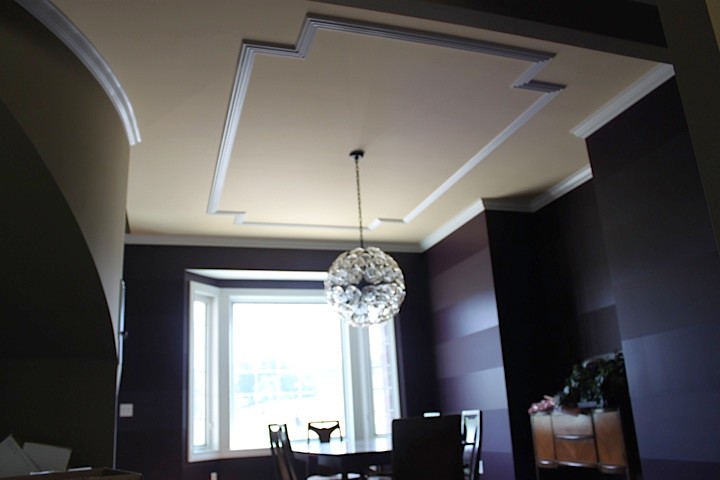 Home design - transitional home design idea in Cleveland with purple walls