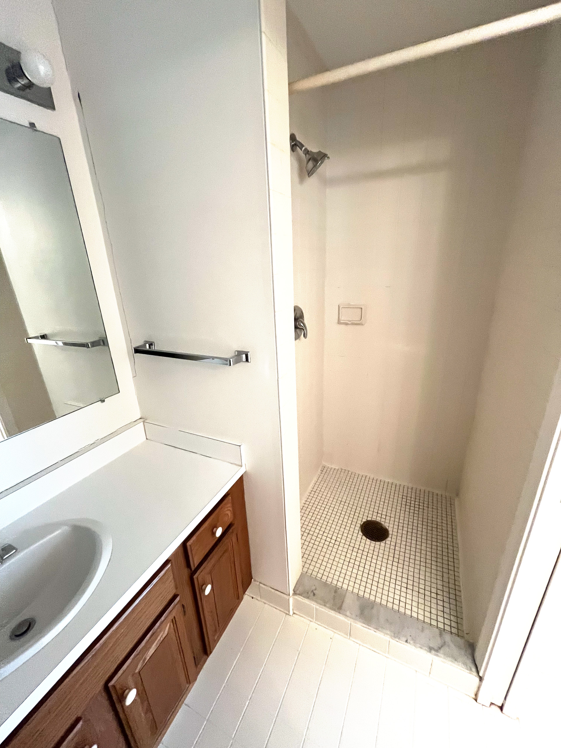 Primary Bathroom (Before)