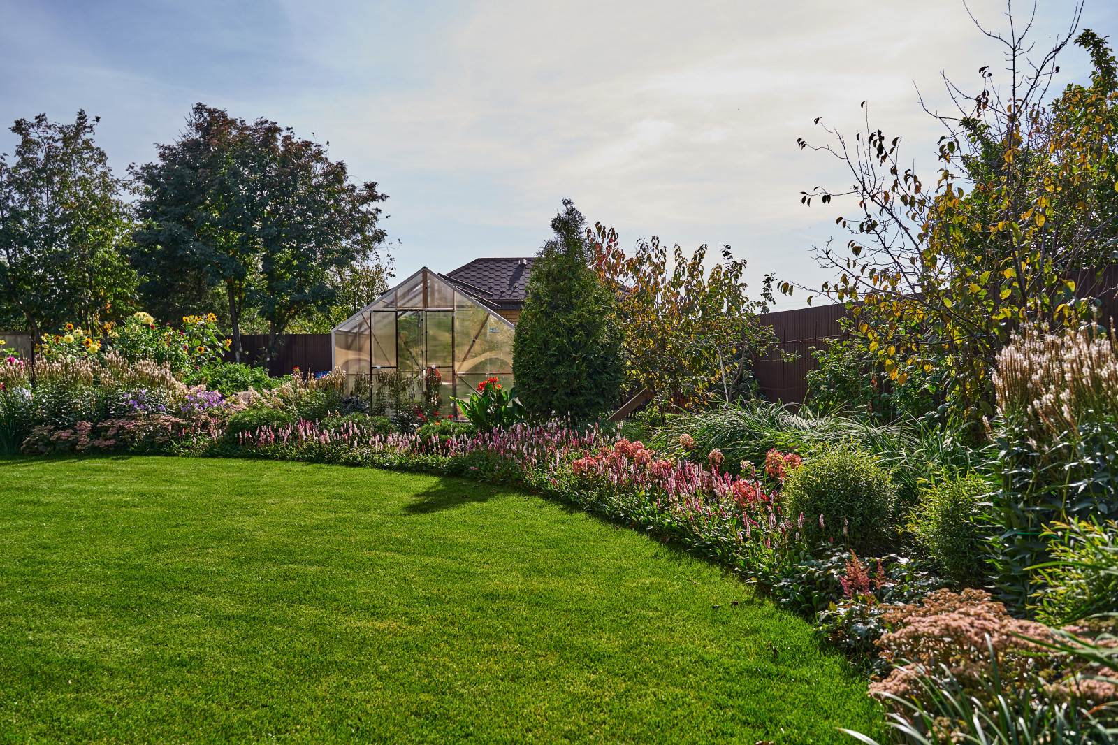 Сад в розовой дымке