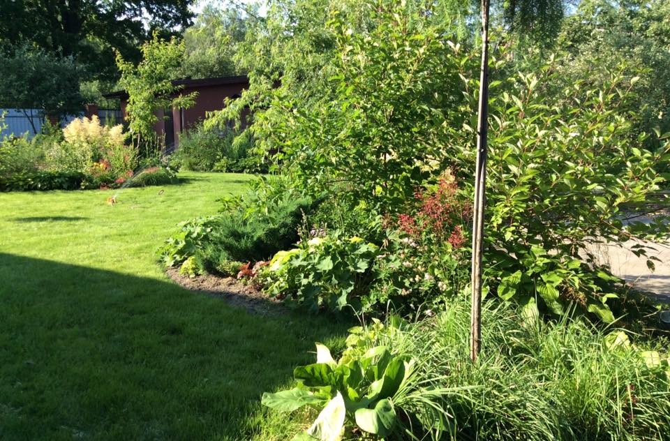 САДИК НА ЛАДОШКЕ (АЛЕНЬКИЙ ЦВЕТОЧЕК)