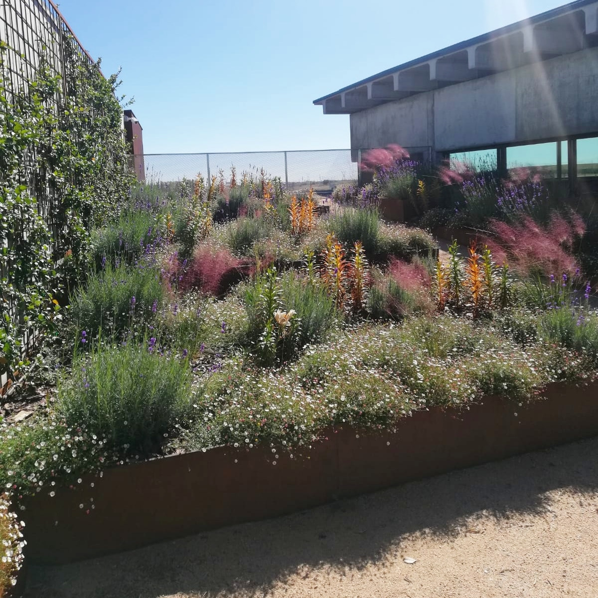 Paisajismo Arkhé: Inspiración en cada Espacio.