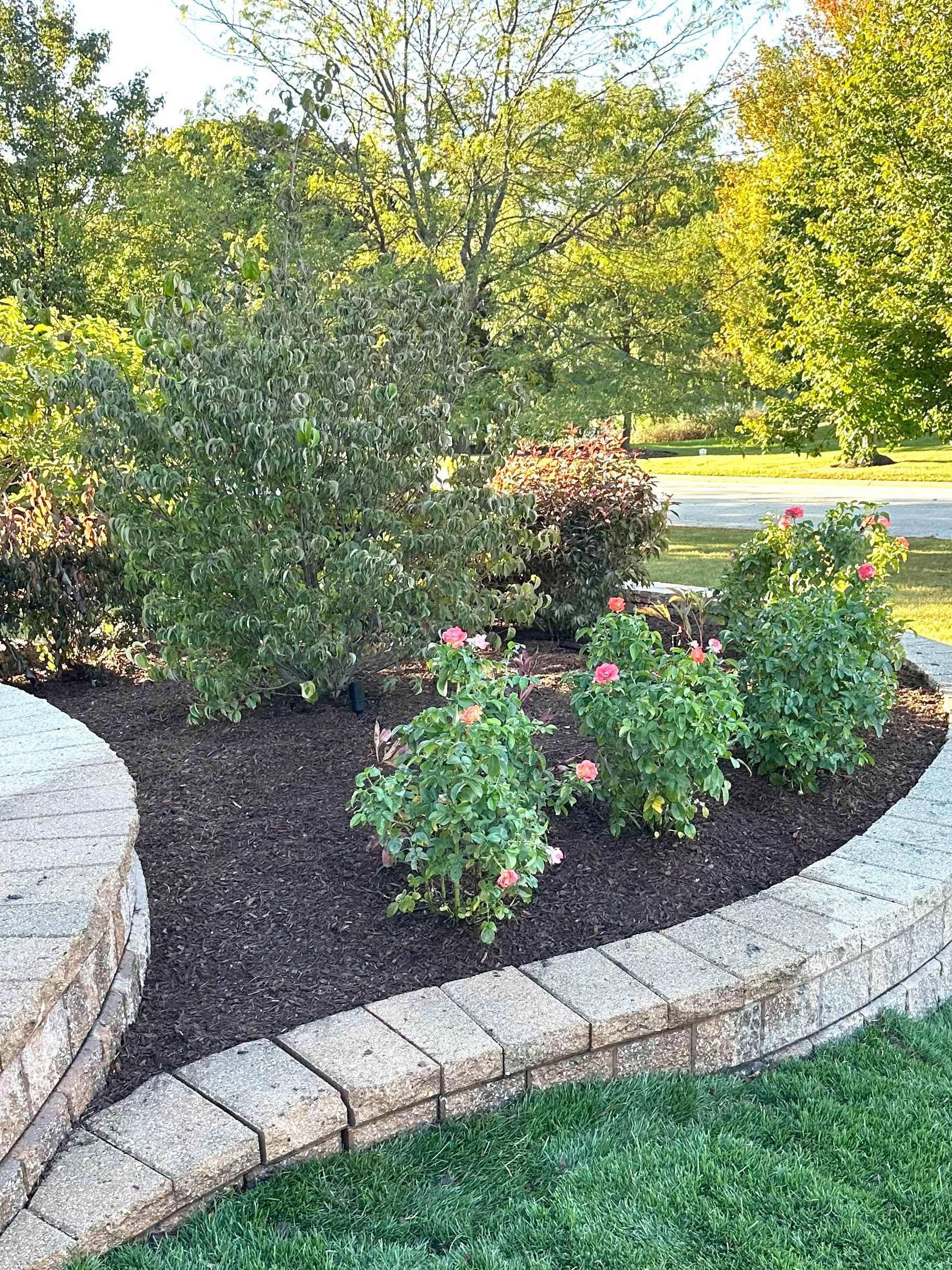 Creating Curb Appeal - Before and Afters