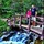 mikell_webb