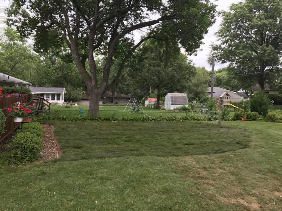This is an example of a backyard landscaping in Cedar Rapids.