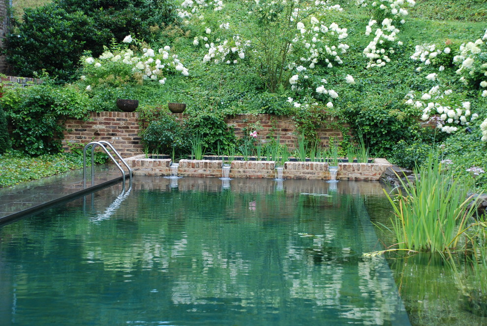 Mittelgroßer Moderner Schwimmteich in Köln