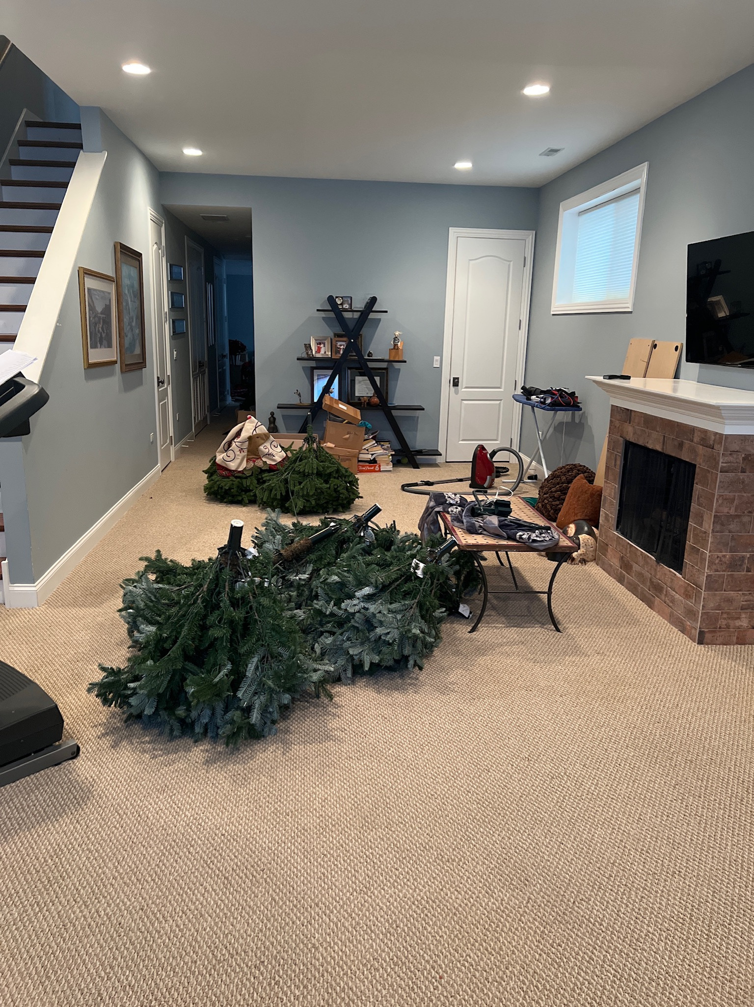 Bucktown, basement remodel